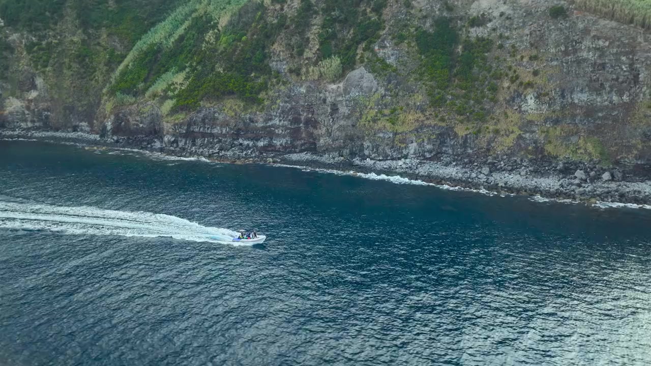 Dolphins Up Close with Bertie Gregory screenshot 1