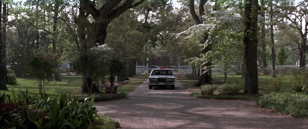 Domestic Disturbance screenshot 1