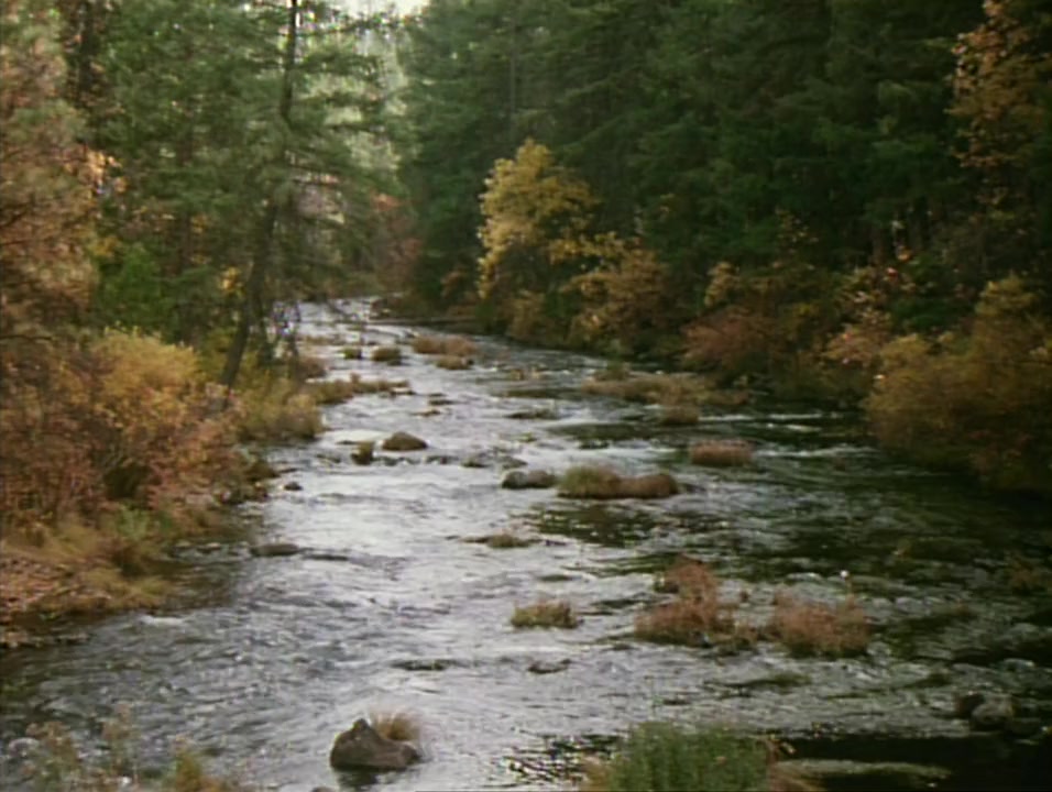Dominion screenshot 3