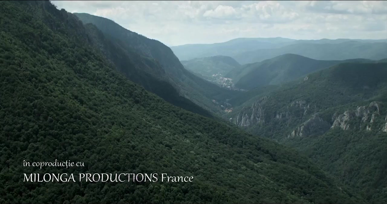 Domnul de la curte screenshot 3