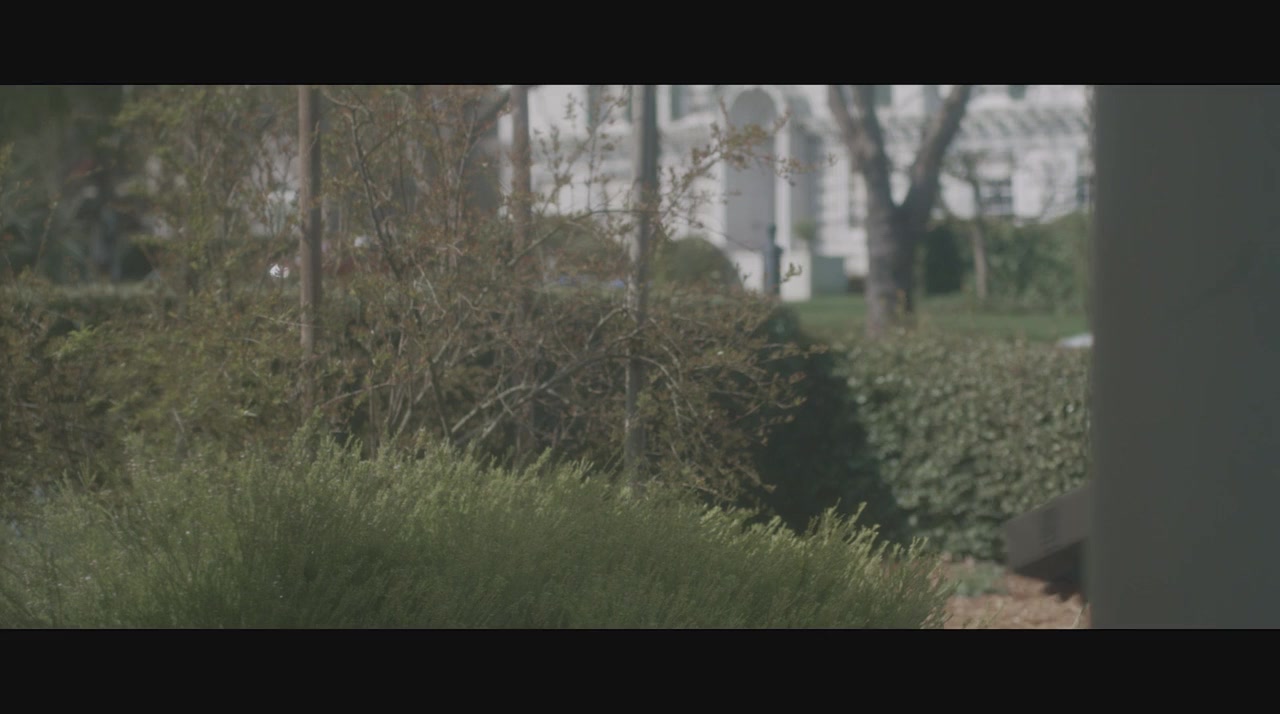 Donovan Reid screenshot 3