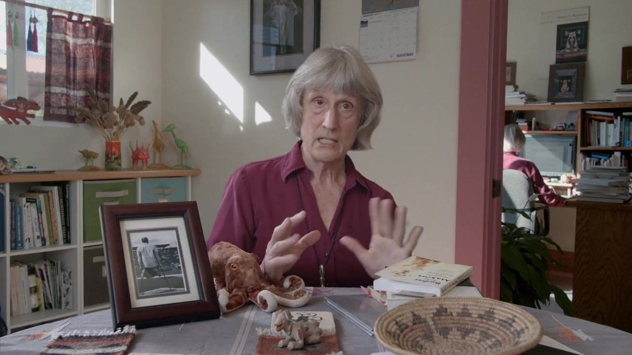 Donna Haraway: Story Telling for Earthly Survival screenshot 2