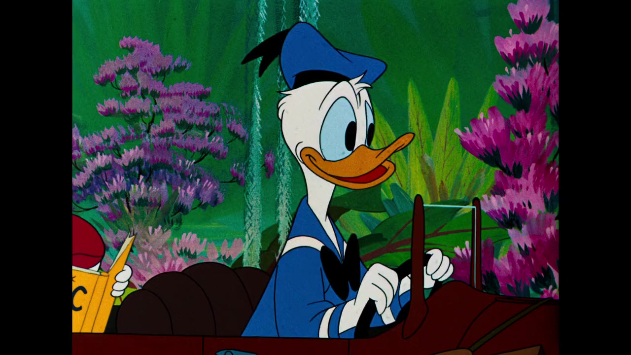 Don's Fountain of Youth screenshot 1