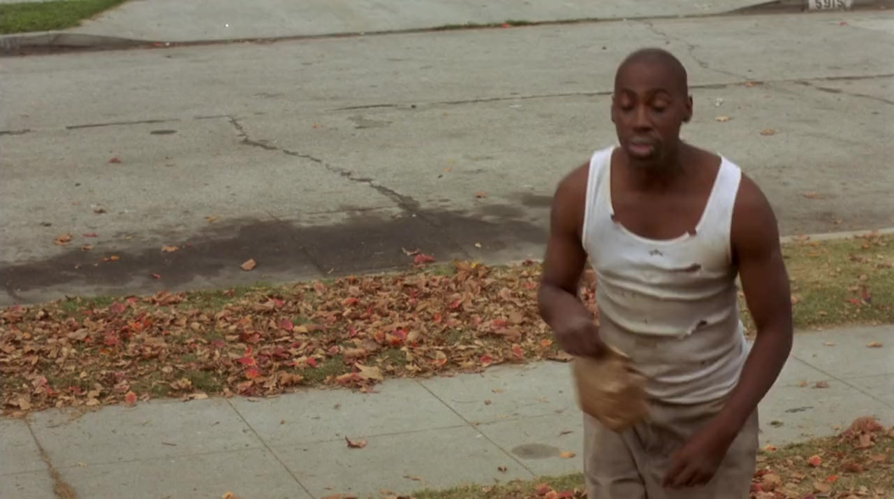 Don't Be a Menace to South Central While Drinking Your Juice in the Hood screenshot 1