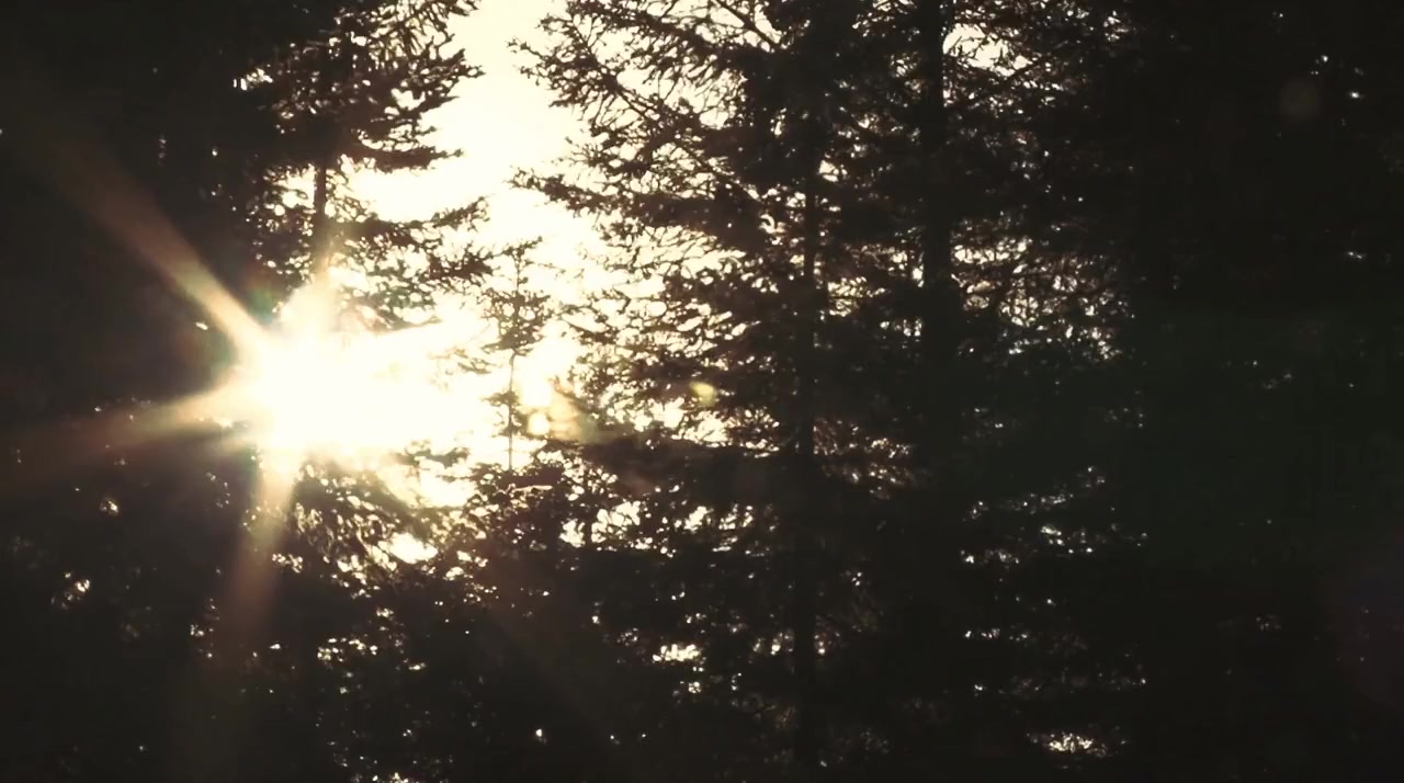 Don't Call Me Bigfoot screenshot 3