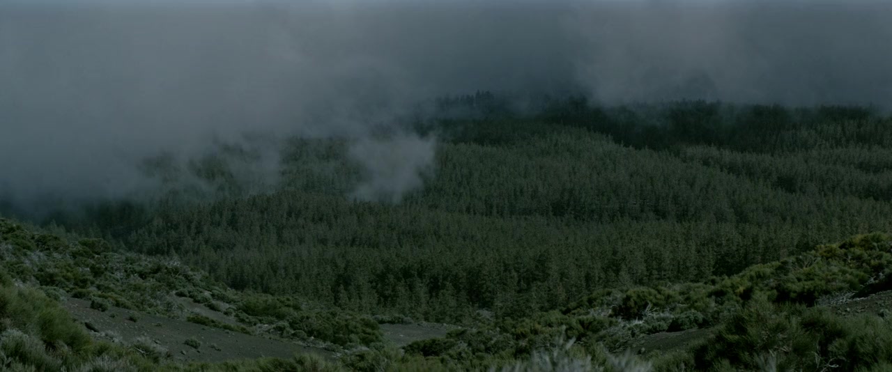 Don't Grow Up screenshot 2
