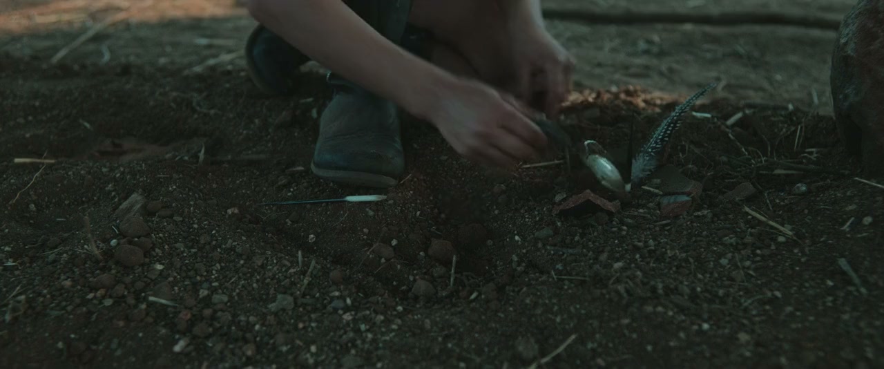 Don't Let's Go to the Dogs Tonight screenshot 2