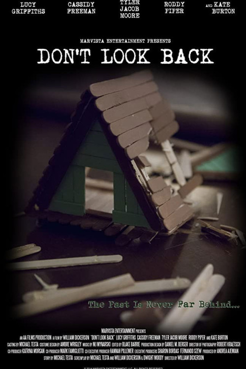 Don't Look Back (2014) poster