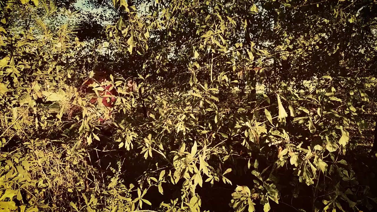 Doomsday Stories screenshot 1
