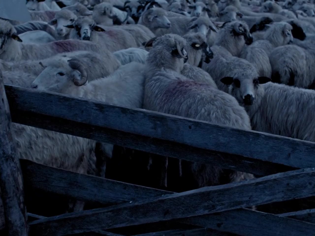 For screenshot 1
