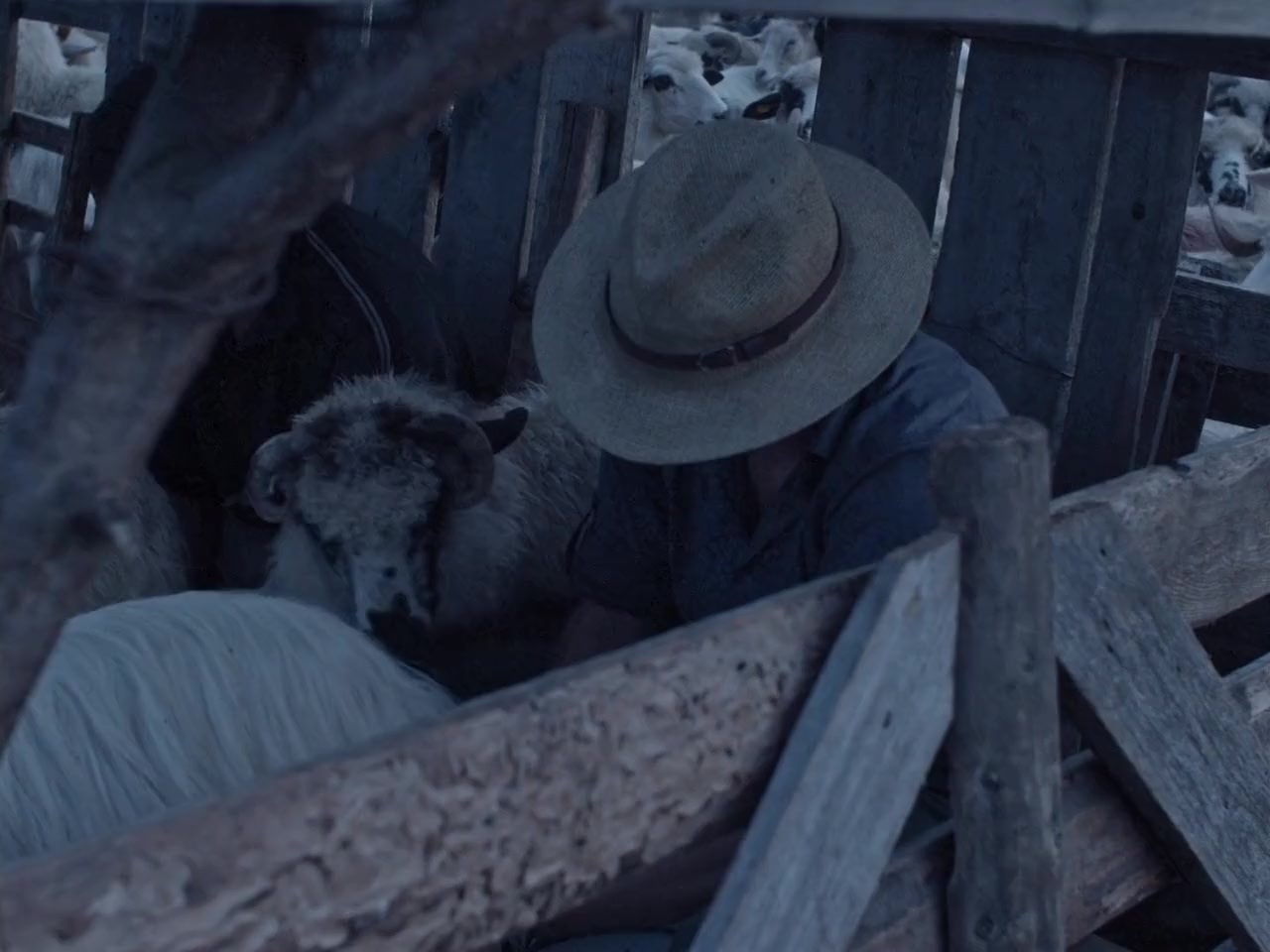 For screenshot 3