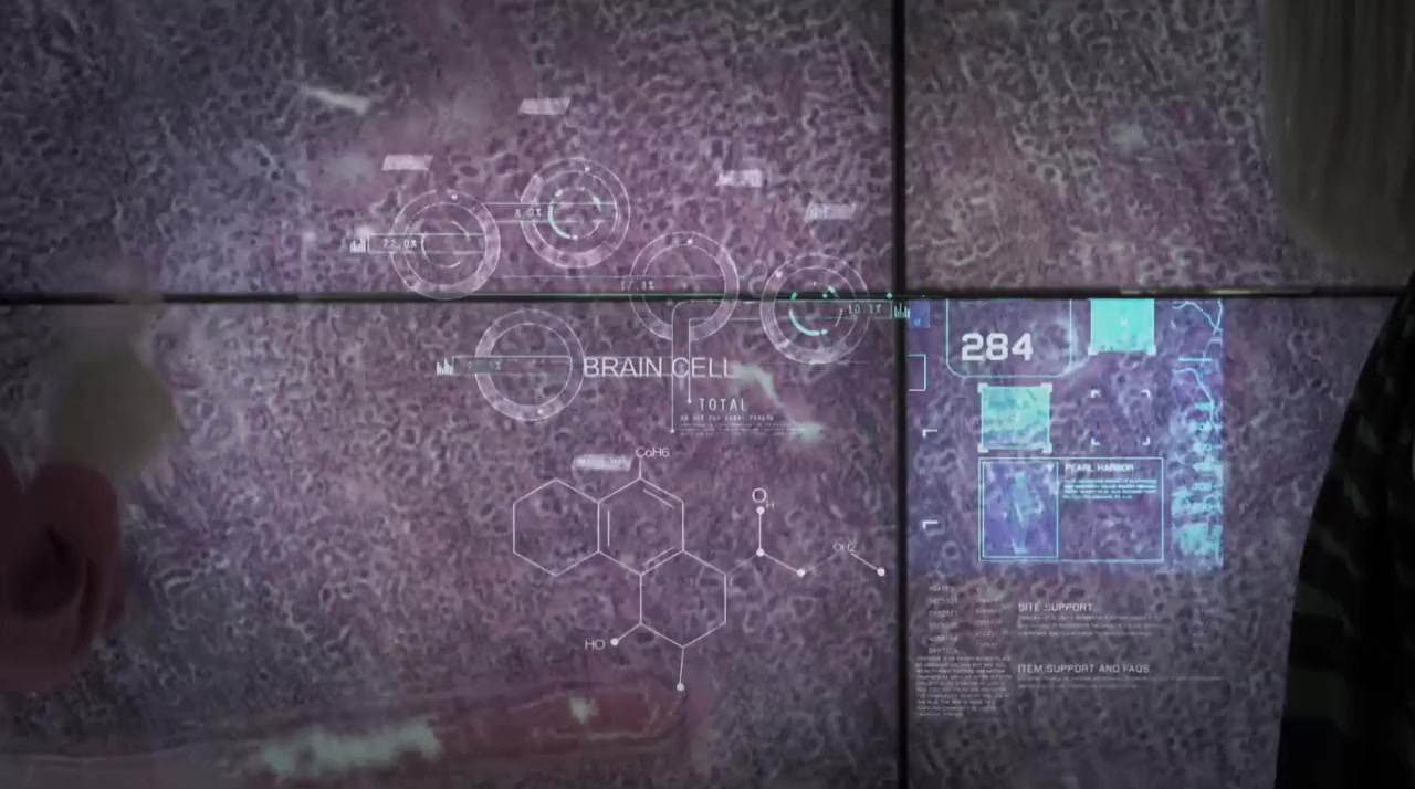 Dataland screenshot 2