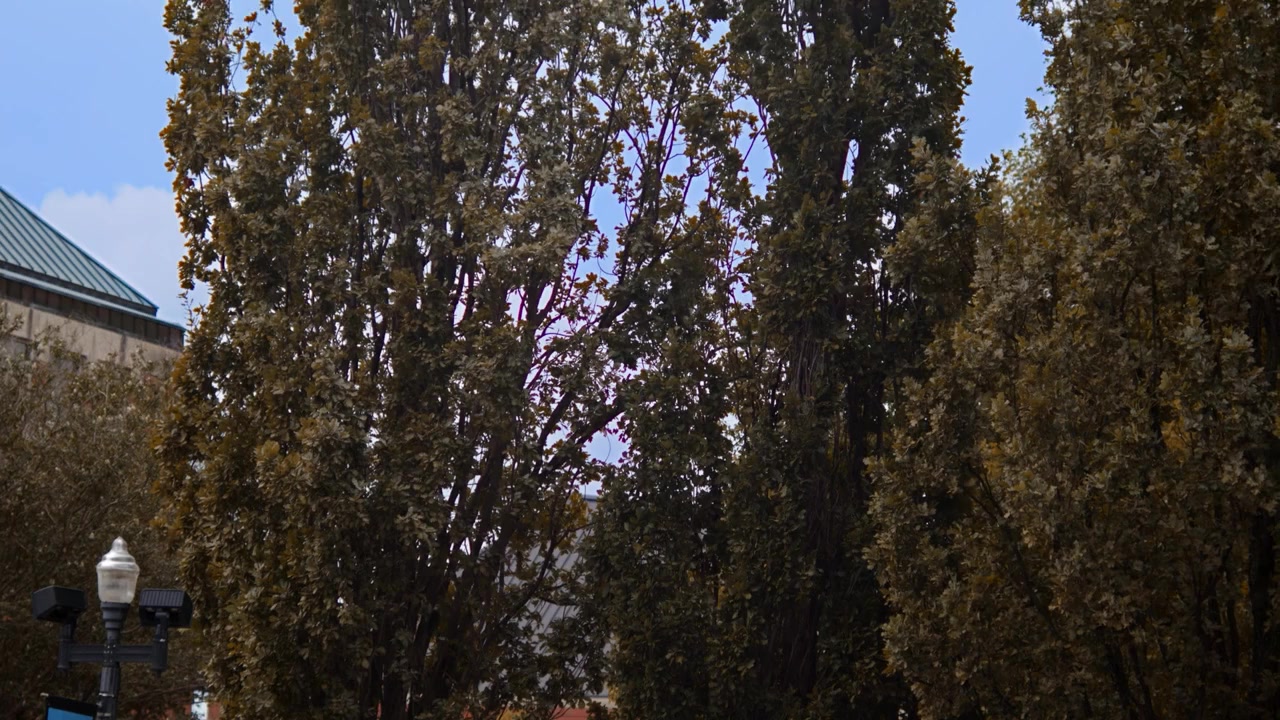 Dating My Past screenshot 1