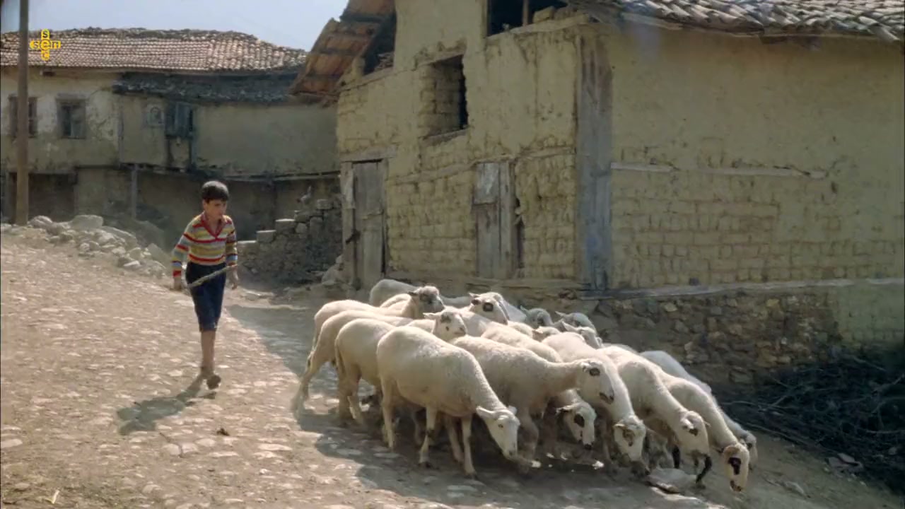 Davaci screenshot 2