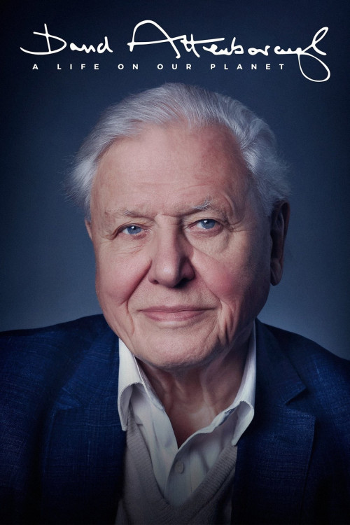 David Attenborough: A Life on Our Planet (2020) poster