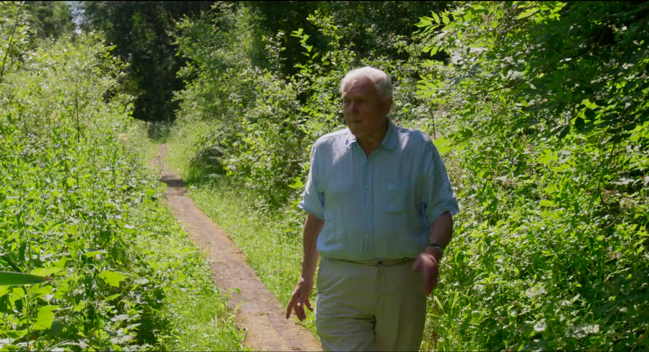 David Attenborough: A Life on Our Planet screenshot 2
