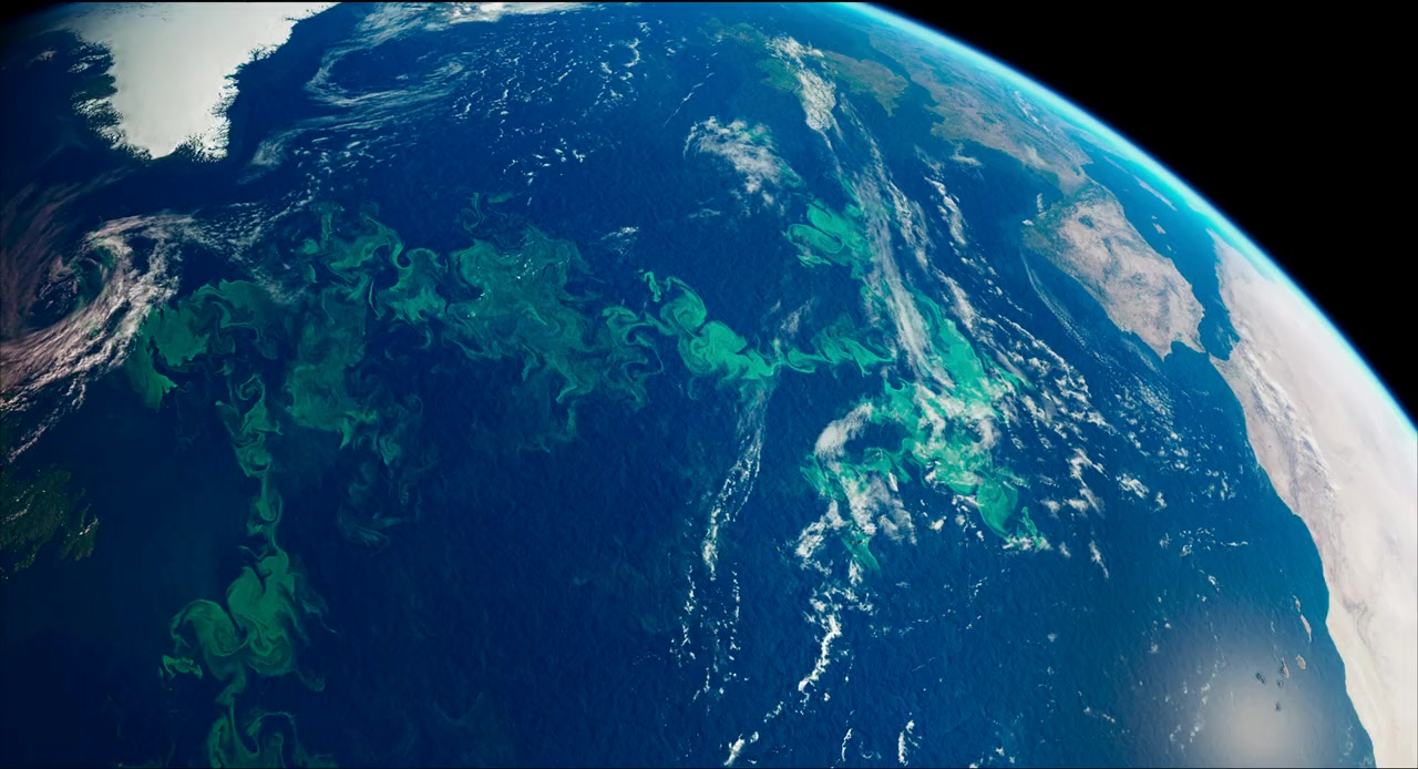 David Attenborough: A Life on Our Planet screenshot 3