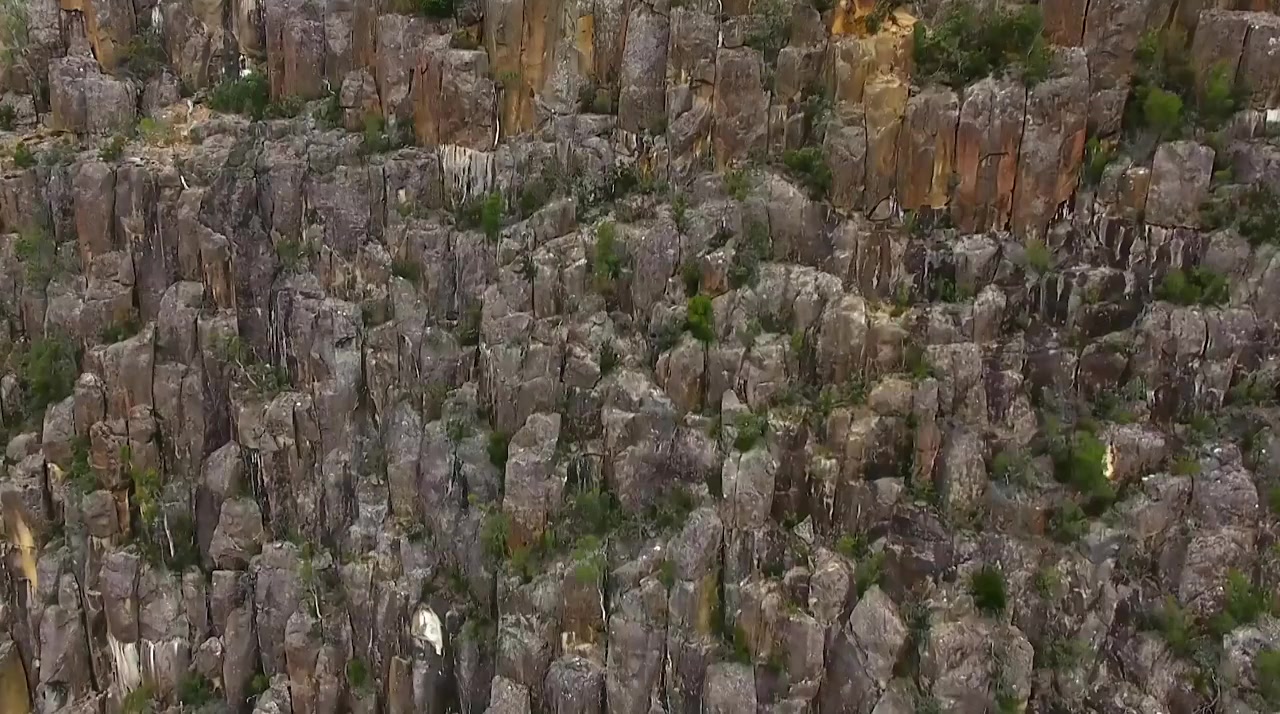 David Attenborough's Tasmania screenshot 1