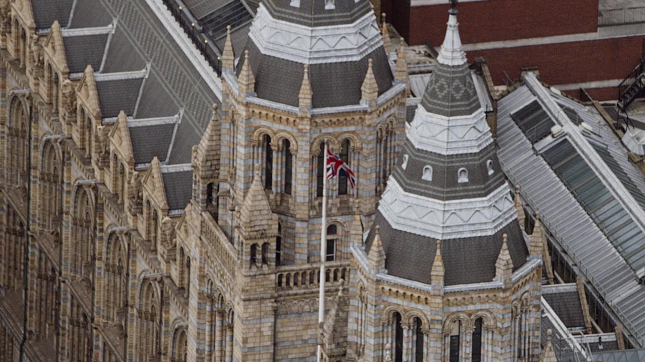 David Attenborough's Natural History Museum Alive screenshot 1
