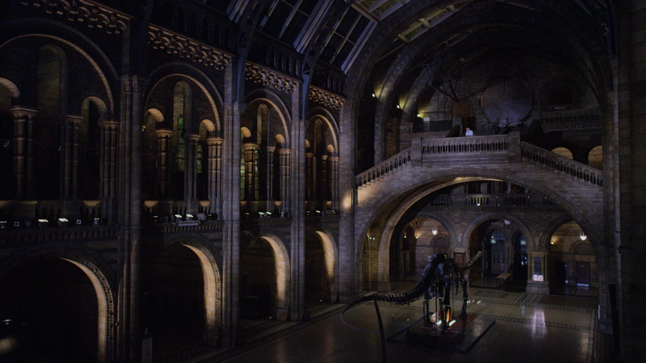 David Attenborough's Natural History Museum Alive screenshot 3