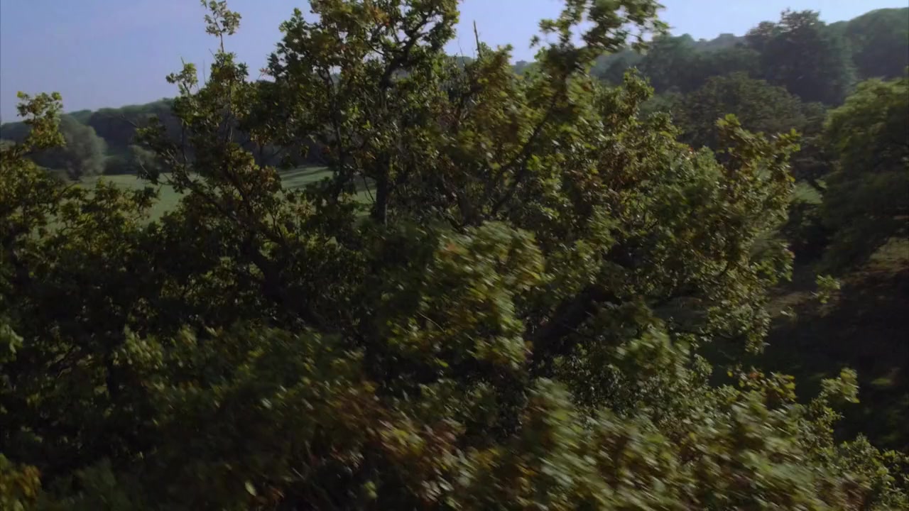 David Starkey's Magna Carta screenshot 2
