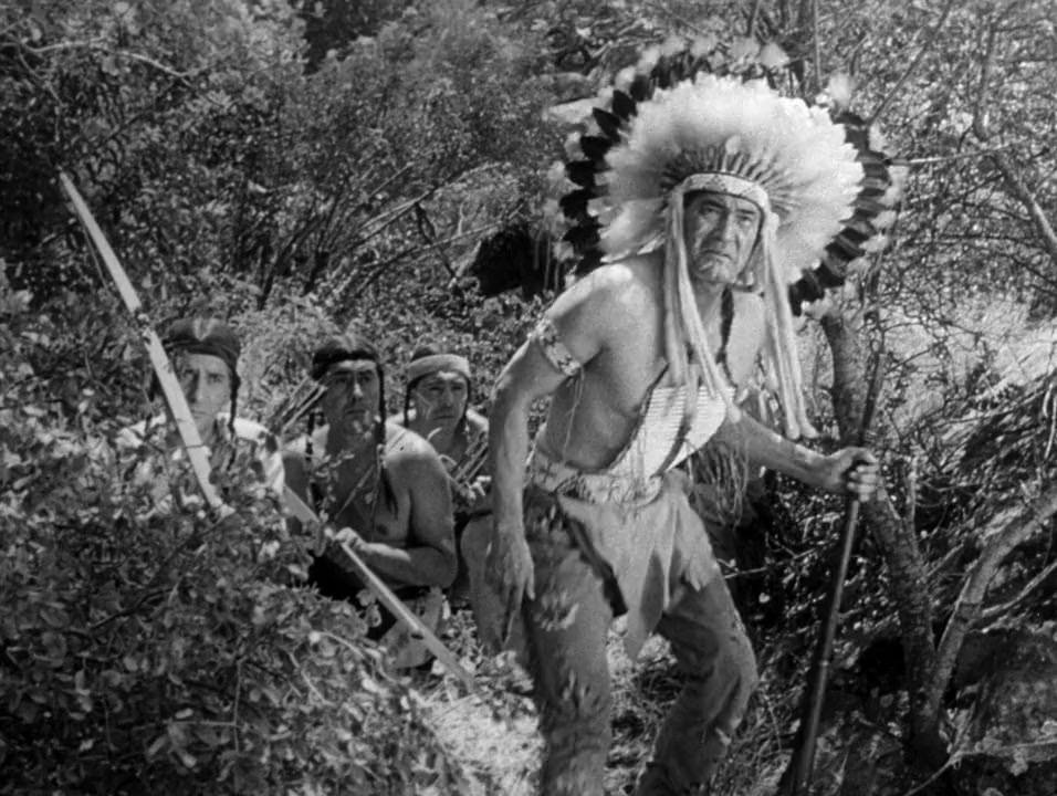 Davy Crockett, Indian Scout screenshot 1