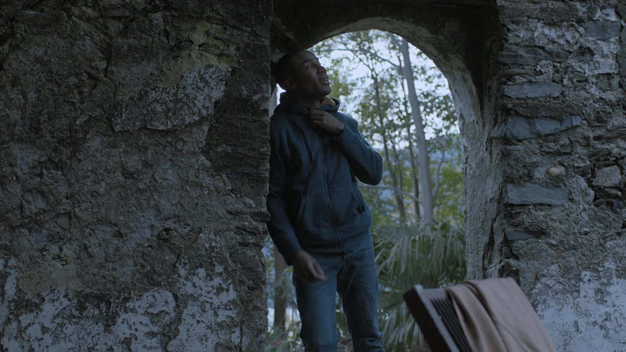 Dawn Chorus screenshot 2