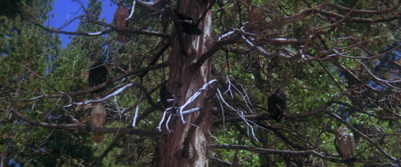 Day of the Animals screenshot 1
