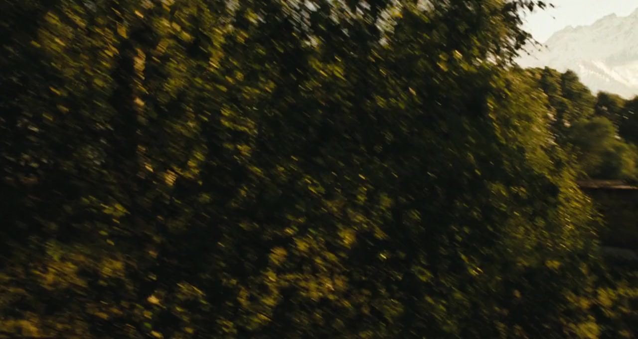 Day of the Dead screenshot 3