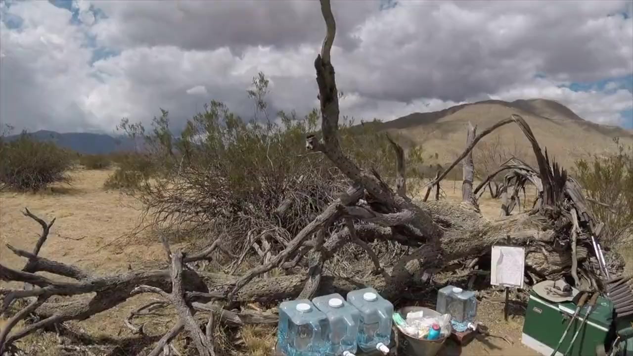 Days on PCT screenshot 3