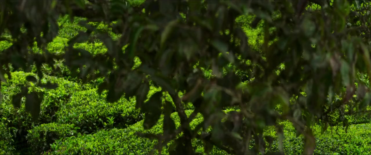 Daaku Maharaaj screenshot 1