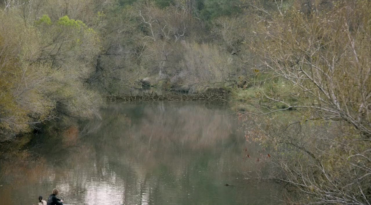 Dam Sharks screenshot 2