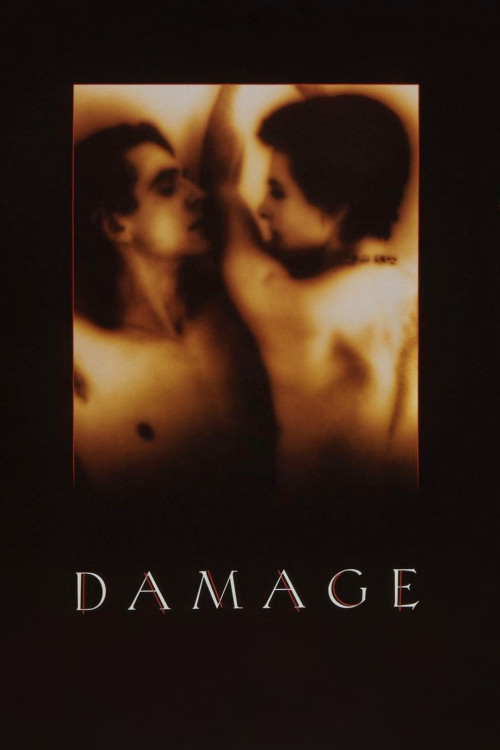 Damage (1992) poster