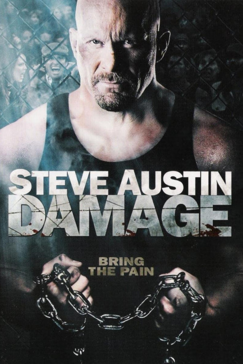 Damage (2009) poster