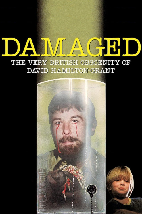Damaged (2023) poster