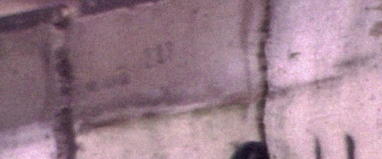 Damascus Cover screenshot 1