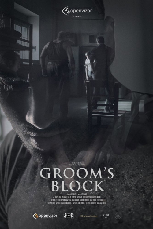 Damat Kogusu (2017) poster