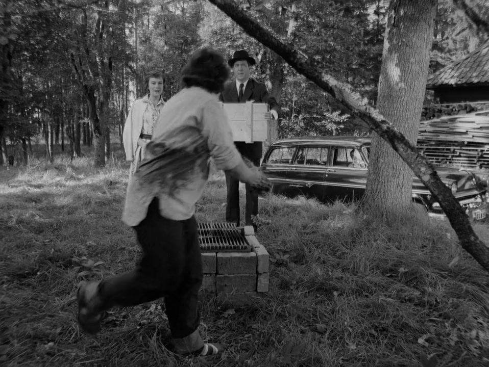 Damen i svart screenshot 1