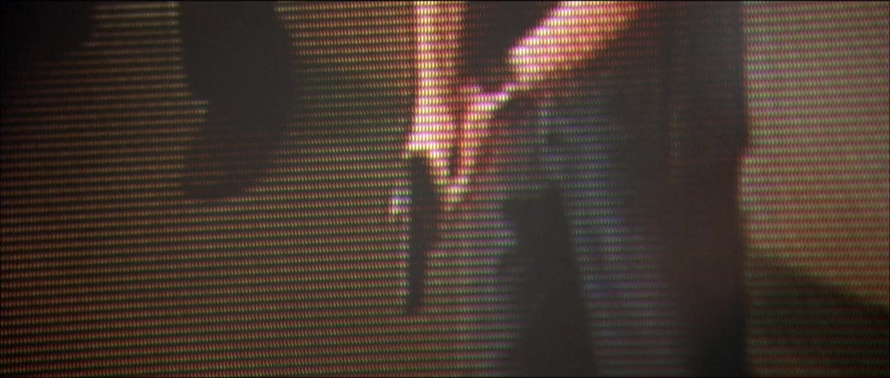 Danika screenshot 1