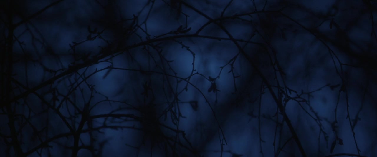 Dark Touch screenshot 1