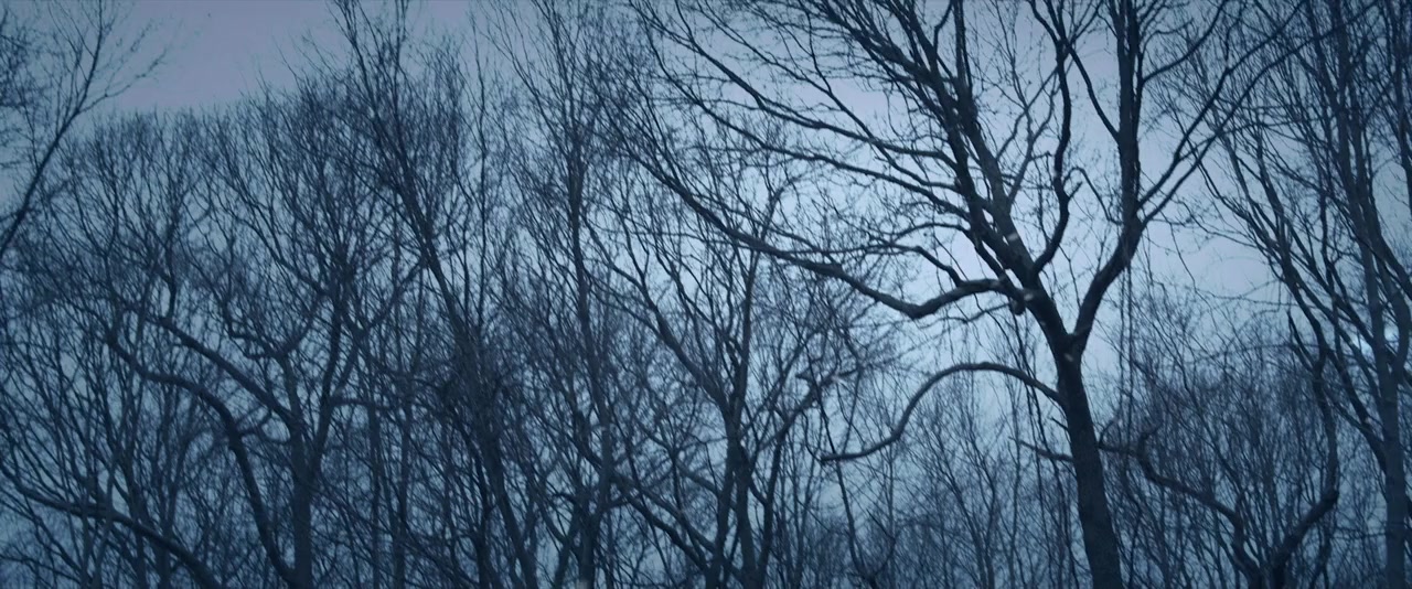 Dark Was the Night screenshot 1