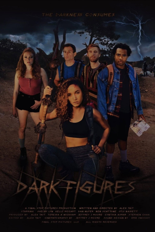 Dark Figures (2020) poster