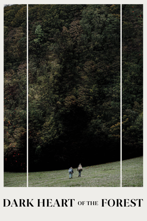 Le coeur noir des forêts (2021) poster