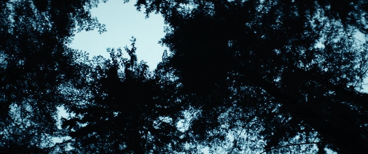 Le coeur noir des forêts screenshot 1