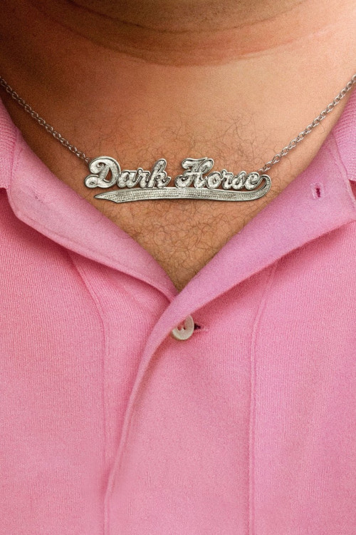 Dark Horse (2011) poster