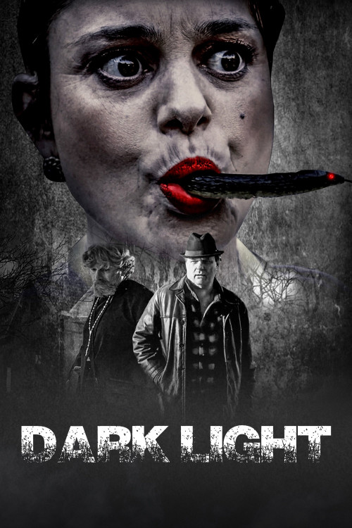 Dark Light (2021) poster