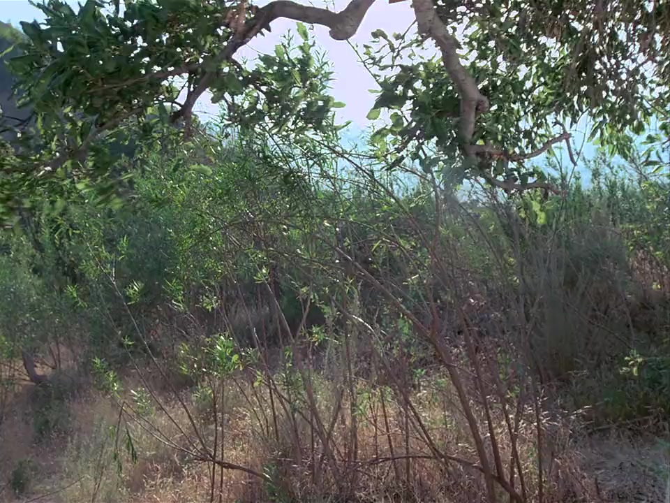 Dark Night of the Scarecrow screenshot 1