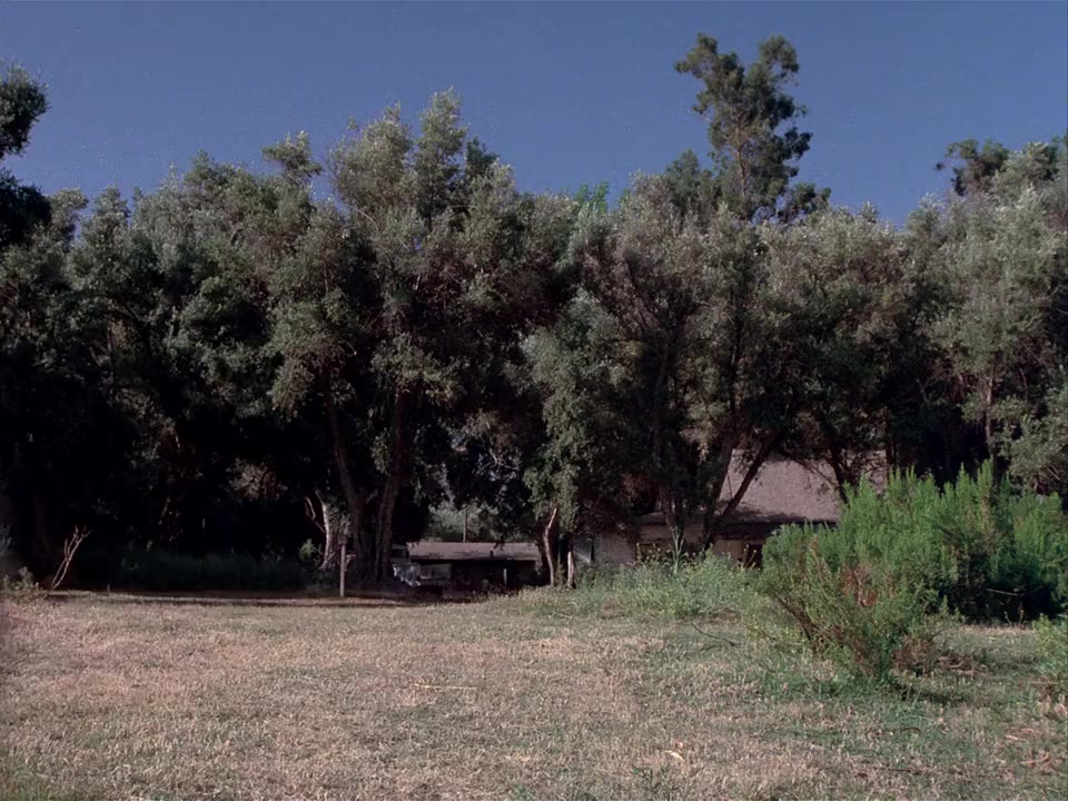 Dark Night of the Scarecrow screenshot 2