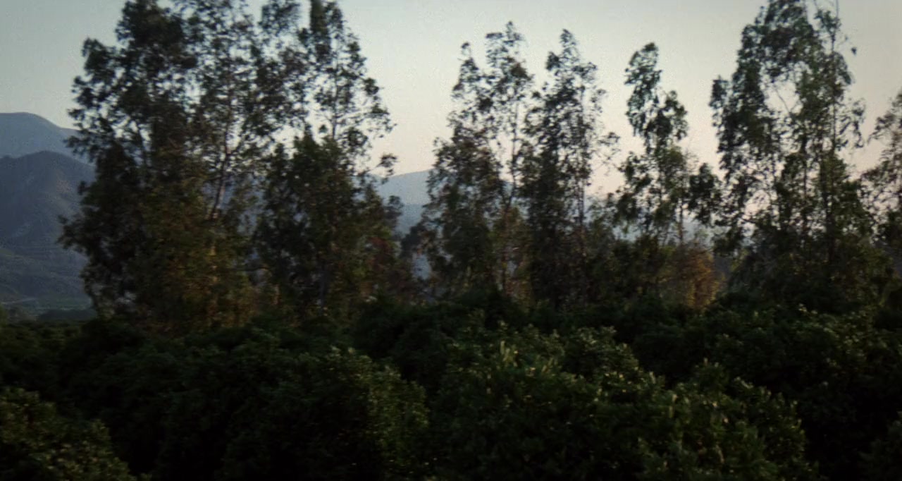 Darkroom screenshot 1