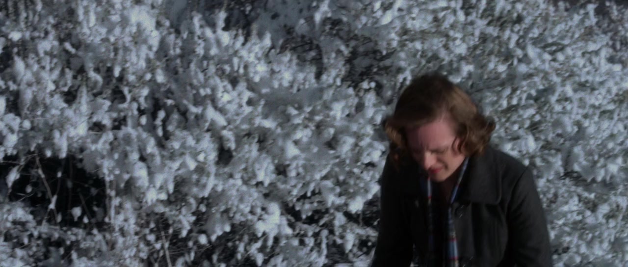 Darling Companion screenshot 3